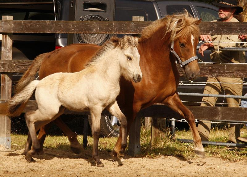 Molda von Heidmoor j.jpg